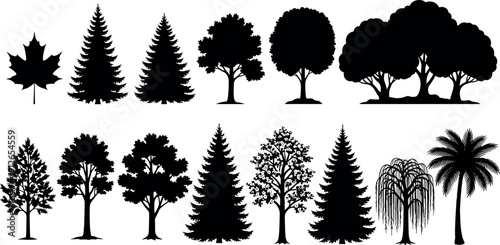 Tree silhouette set with deciduous, conifer and palm species, forest and park shapes, black vector illustration isolated on white for landscape design and outdoor projects