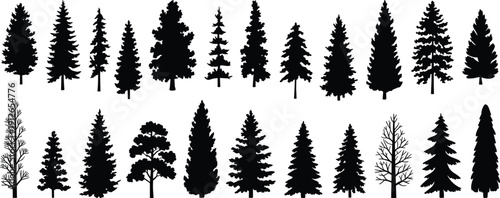 Pine and fir tree silhouettes collection isolated on white background vector illustration set forest evergreen conifer woodland nature elements