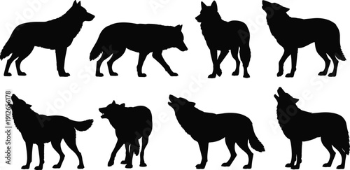 Wolf silhouettes collection with standing, walking and howling poses isolated on white background vector illustration set wild canine wildlife bundle