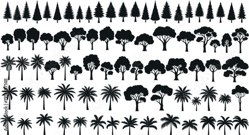 Tree silhouettes mega collection featuring forest tropical palm deciduous evergreen shapes for landscape nature design vector illustration