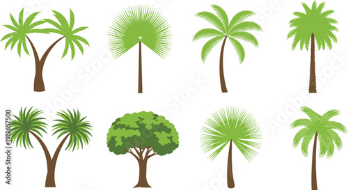 Tropical palm tree vector collection featuring colorful coconut, fan, and exotic trees isolated on white background for nature, summer, travel, and landscape design