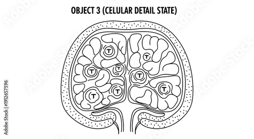 Cellular structure diagram with T-shaped cells in cross-section, scientific illustration