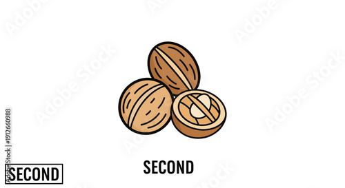 Whole and Halved Walnuts on White Background, Healthy Food Ingredient
