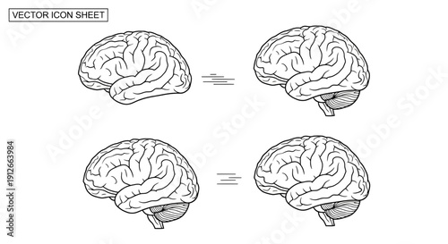 Human Brain Anatomy Vector Icon Set - Medical Science and Neurology Concept