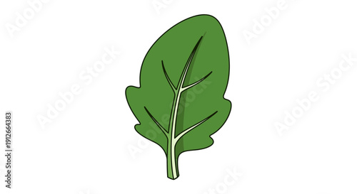 Green Spinach Leaf Icon, Healthy Food, Organic Vegetable, Simple Flat Design