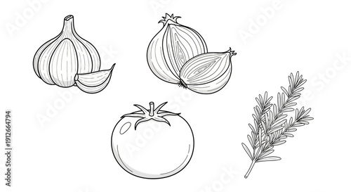 Hand-Drawn Ingredients: Garlic, Onion, Tomato, Rosemary - Fresh Food Illustration