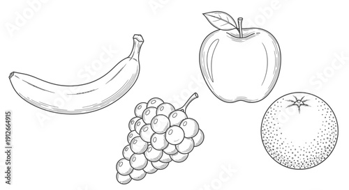 Hand-drawn sketch of assorted fruits: banana, apple, grapes, and orange on a white background.