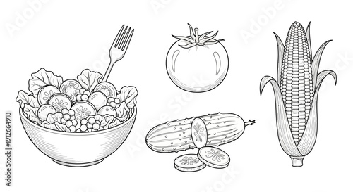 Hand-drawn salad, tomato, cucumber, and corn illustration