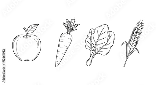Hand-drawn sketch of fresh apple, carrot, spinach, and wheat stalk on white background
