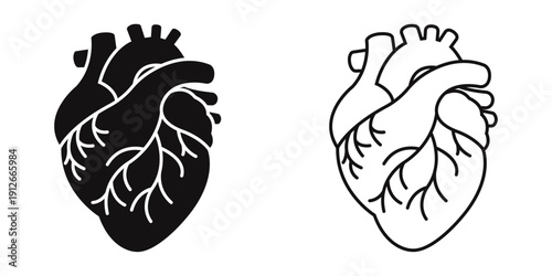 Human Heart Silhouette Icon Cardiovascular Anatomy Medical Illustration