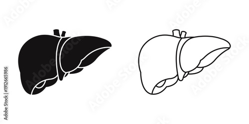 Human Liver Silhouette Icon Medical Anatomy Digestive Organ Illustration