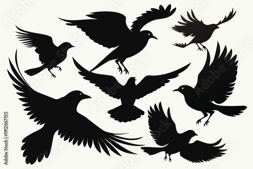 Black and white eagle vector illustration with detailed flying wings silhouette