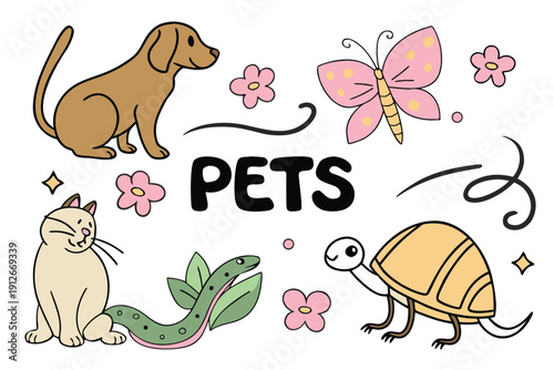 Colorful illustration depicting pets including a dog cat butterfly snake and tortoise silhouette high quality professional