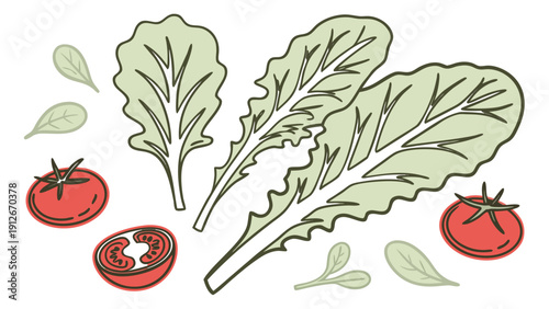 Stylized illustration of lettuce tomatoes and peppers in a hand drawn silhouette high quality professional detailed