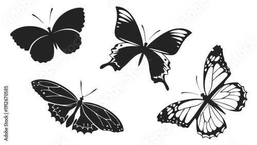Four detailed butterfly designs are displayed in a striking black silhouette high quality professional modern elegant