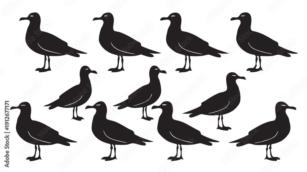 Obraz premium A collection of ten black seagull silhouettes standing in a simple organized arrangement silhouette high quality