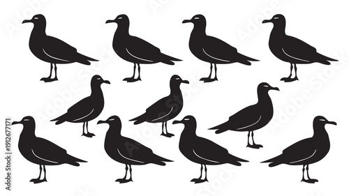 A collection of ten black seagull silhouettes standing in a simple organized arrangement silhouette high quality