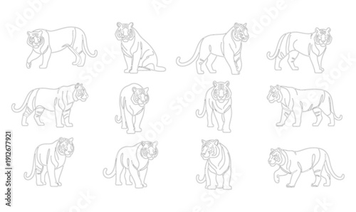 Continuous one line tiger set, minimal single line drawing_26