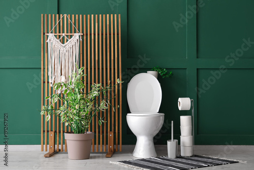 Toilet bowl, houseplant and...