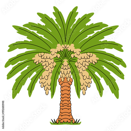 Date Palm Tree Illustration