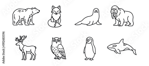 Animal line drawings set