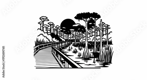 A black and white graphic depicts a wooden boardwalk winding through a swampy cypress forest