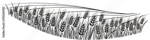 A black and white illustration of a swaying wheat field under a layered sky