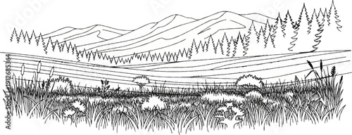 A black and white sketch of rolling hills, trees, and tall grasses