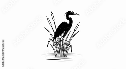 A black and white illustration of a heron standing in water amongst reeds
