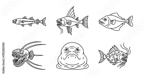 Exaggerated Fish Line Drawings Set