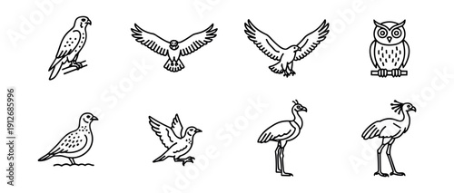Bird line drawings set
