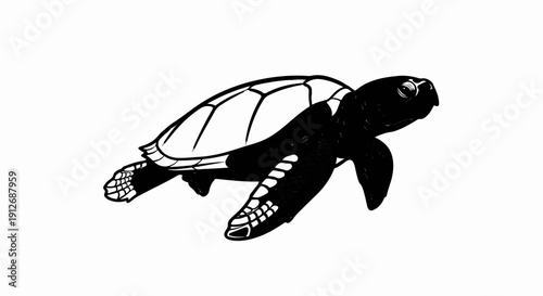 A black and white illustration of a sea turtle swimming