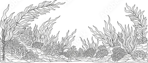 A black and white line drawing of a kelp forest with rocks and coral