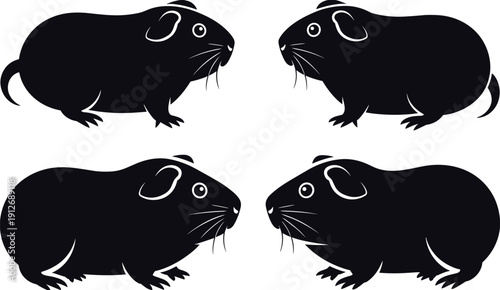 Guinea Pig Silhouette Set in Black, Cute Rodent Pet Vector Icons for Logo, Sticker, Tattoo and Wildlife Design