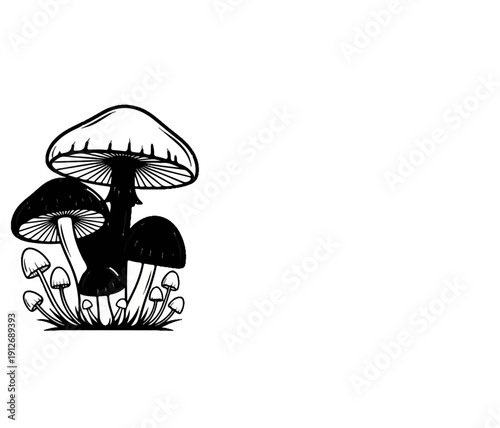 A detailed black and white illustration of a cluster of varied mushrooms