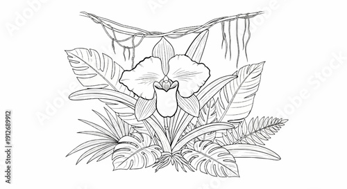 A detailed black and white line drawing of a tropical orchid with hanging vines and lush foliage