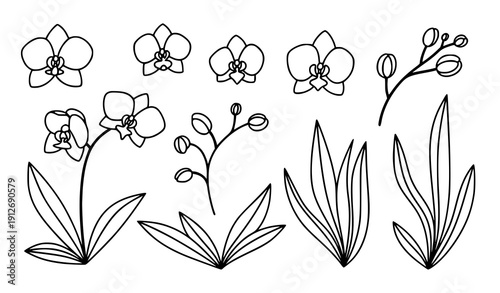 Doodle orchid flower set minimal hand drawn floral elements for invitations and cards