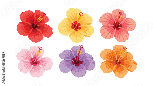 Vibrant vector illustration of six colorful hibiscus flowers