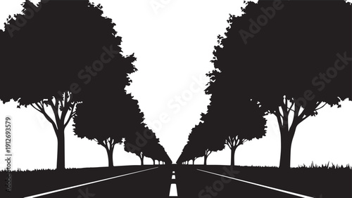 Perspective view of long road lined with trees creating natural avenue silhouette vector illustration line art