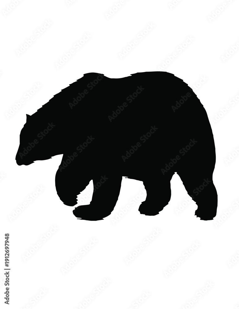 Fototapeta premium black american bear