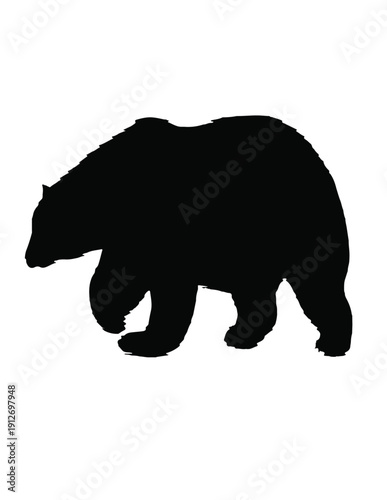 black american bear