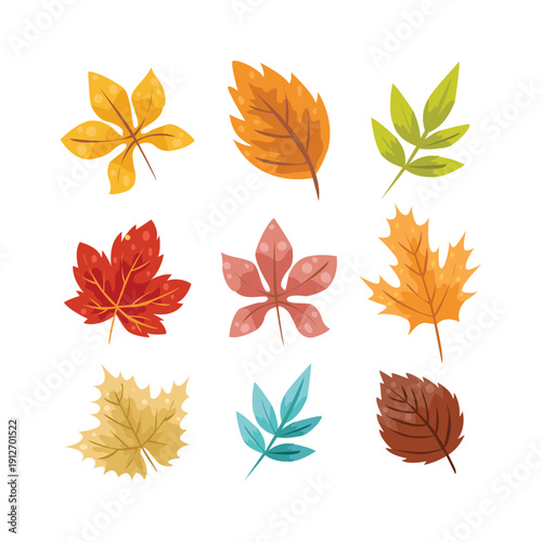 Set of Autumn Fall Leaves, Maple leaves, leaf hand drawing illustration on white background vol 01