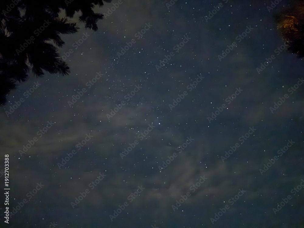 Naklejka premium starry night sky