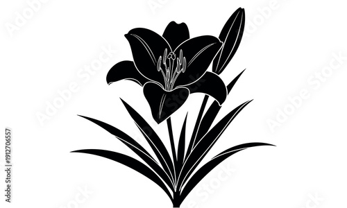 Black and white illustration of a flowering plant with large dark petals