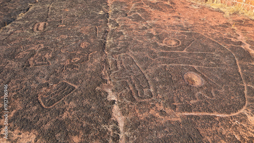 Fotografía Prehistoric elephant petroglyph carved on laterite rock plateau at Ukshi, Ratnagiri district, Maharashtra, India