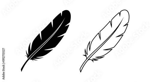 Two black and white feather illustrations on white background Vector