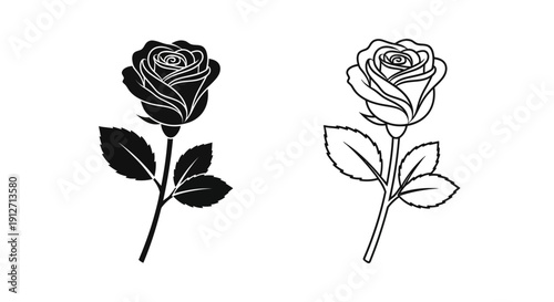 Black and white rose drawing, minimalist rose sketch, floral art, vector illustration Vector