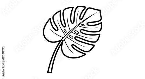 Clean black and white line art illustration of a single monstera deliciosa leaf is isolated on a white background for modern decor.