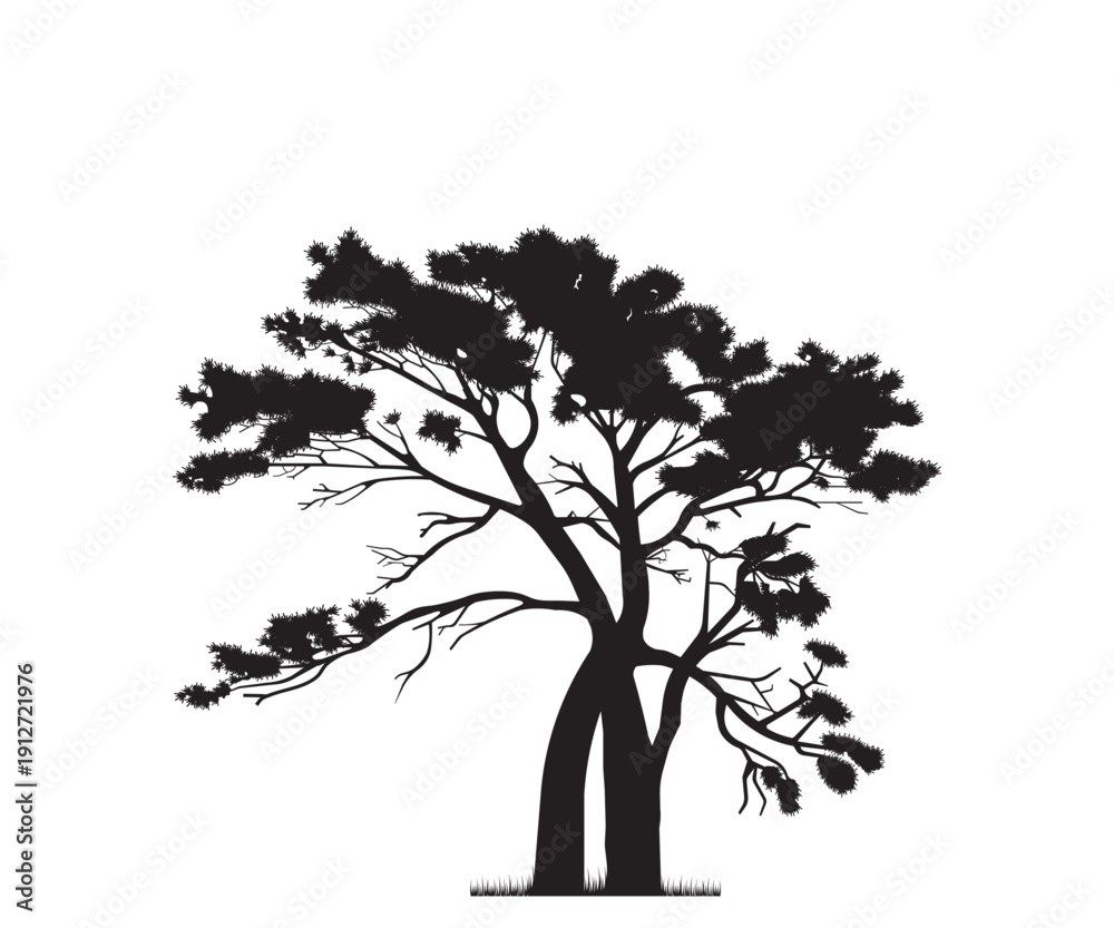 Fototapeta premium Tree silhouette, tree vector illustration, tree png
