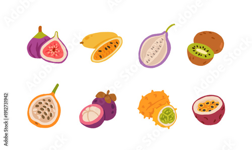 Exotic, tropical, rare and Common Fruits Collection. Flat cartoon Vector Set of fruits on white isolated background.